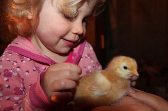 Chick Holding